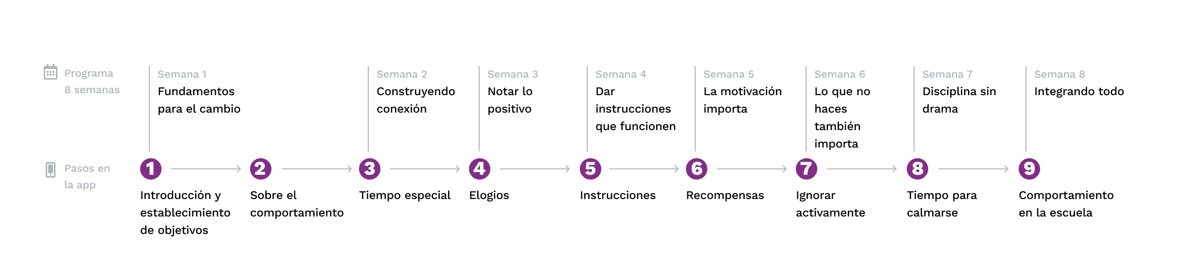 Cronograma del programa de 8 semanas - Click para expandir